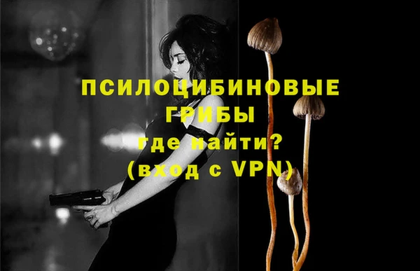 мяу мяу мука Алексеевка
