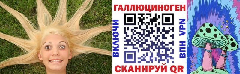 Псилоцибиновые грибы Cubensis  Алупка 