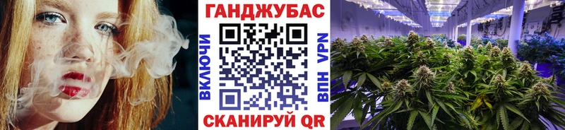 купить   Алупка  Конопля семена 